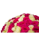 Bouquet of pink and white roses